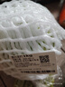 圆白菜约1kg 实拍图