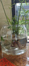 飞达三和乌龟饲养缸家用鱼缸客厅小型养乌龟专用箱生态造景晒爬台桌面龟缸 乌龟缸-大号【超清8K高透/防摔不坏】 实拍图
