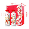 泸州老窖 原酿天典  浓香型白酒 52度 500ml*2瓶 礼盒装 收藏送礼宴请 实拍图