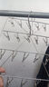 赞璐桐（ZANLUTONG）衣架夹子 不锈钢防风袜架家用晒袜子多功能晾衣架内衣挂钩 方夹-20夹防风加厚耐用款 实拍图