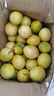 张小壮百香果 黄金果 广西钦蜜9号黄金百香果9号新鲜生鲜白香果水果 精选2.8-3斤单斤约11-13个 实拍图