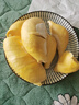 梦宛怡榴莲金枕新鲜果整箱一整个带壳泰国进口巴掌金枕头榴莲时令水果 金枕榴莲批发一箱14斤（2-4个装）净14-12斤 泰国进口金枕榴莲 实拍图