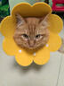 欢宠网伊丽莎白圈猫宠物狗猫咪狗狗绝育软项圈头套脖套防舔防咬脖圈耻辱 实拍图
