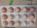 京鲜生【每日鲜蛋】无抗谷物鲜鸡蛋15枚/盒 1.5斤 源头直发 实拍图