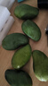 甜萌果蔬金煌芒 送人 水仙芒果青皮大芒果甜心芒海南新鲜水果孕妇盒子送礼 精选装（单果约250g+） 净重4.5斤【超划算】 实拍图