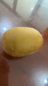 佳沛（zespri）新西兰 阳光金奇异果12粒礼盒特大果单果约122-146g 猕猴桃 水果 实拍图