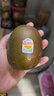 佳沛（zespri）新西兰   阳光金奇异果 8个装 超大果单果重约173-204g 猕猴桃 实拍图