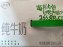 伊利 纯牛奶苗条装 200ml*24盒 优质乳蛋白早餐伴侣 礼盒装 4月底产 实拍图