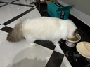 皇家皇家幼猫 干湿搭配   K36 4.5KG+ KJP 85G*12 实拍图