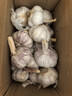 【百万单爆品】紫白皮蒜水果大蒜超市生鲜蔬菜调料即食蒜 【优选】 1斤 单果3.5-5cm 实拍图