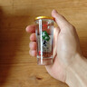 荞化香兰益苦荞白酒云南特产荞花香45ml*12杯清香型小荞酒小杯酒 42度 45mL 2盒 *24杯 实拍图