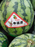 名创优品（MINISO）哈利·波特系列妖怪们的妖怪书靠枕16号 毛绒玩具抱枕午睡枕 实拍图
