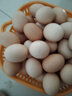 无抗鲜鸡蛋 谷物喂养鲜鸡蛋 单枚50g-60g 早餐食材 蛋香味十足 30枚装 实拍图