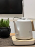 鸣盏【国家补贴】烧水壶泡茶 电热水壶功夫茶壶电茶炉 茶艺师专用电茶壶智能恒温电热水壶MZ152A白色 实拍图