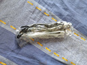 多功能硅胶理线器数据线卡扣线揽整理收纳神器耳机充电线缠绕绑带扎带 10根硅胶【收纳神器】 实拍图