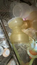 贝能（Baoneo）吸奶器单边挤奶电动一体两用自动孕产无痛按摩吸力大PPSU款 28mm 实拍图