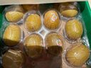 佳沛（zespri）新西兰  阳光金奇异果10粒礼盒巨大果单果约144-175g 水果 猕猴桃 实拍图
