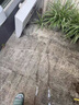 家可美（jiakemei）水泥地面清洁剂院子黑垢青苔油污地板强力去污庭院瓷砖石材清洗剂 2500ml 1瓶 水泥地清洗剂 晒单实拍图