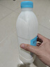 简爱原味裸酸奶 1.08kg*1瓶 家庭装大桶酸奶 生牛乳发酵 乳酸菌早餐奶 实拍图