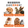 红狗 营养膏120g*3支 猫咪营养膏猫营养膏狗狗猫咪维生素狗狗维生素 实拍图