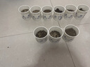 lemonkid儿童雨衣男童女宝宝雨披小学生雨具 乐奇喷火龙连体 L 实拍图