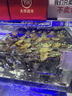 屈臣氏京东专供原味无糖苏打水0糖0卡0脂含汽饮料380mL*18瓶整箱出游 实拍图