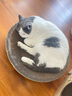 【京东物流】猫抓板磨爪猫窝一体耐磨不掉屑超大号猫玩具猫咪用品 圆形超大号+猫薄荷 实拍图