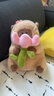 纺宠园变身卡皮巴拉公仔水豚吧啦玩偶毛绒玩具萌可爱娃娃女生生日礼物 花朵款水豚 30cm 实拍图