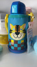 虎牌（TIGER）【京东独家】儿童保温杯学生吸管杯便携男女水杯600ml 实拍图