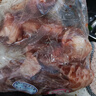 东来顺 内蒙古羔羊原切带肉棒骨2斤羊腿手把肉煲汤炖煮 清真中华老字号 实拍图