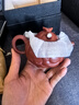 百年利永宜兴紫砂壶纯全手工原矿朱泥鱼化龙壶功夫茶具泡茶壶 实拍图
