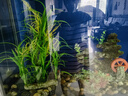 憨憨乐园鱼缸换水器抽水吸便器虹吸管水族箱清洁用品手动款2.6m 实拍图