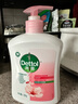 滴露（Dettol）洗手液滋润500g*6 抑菌洗手液家庭装大桶儿童消毒无酒精温和护手 实拍图