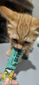 多特思（DOTUS）猫零食猫条混合口味15g*100支0添加0诱食剂成幼猫咪零食罐头湿粮 实拍图