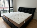 龙凤床垫家用卧室乳胶分区独立弹簧席梦思1.8x2米记忆棉环保椰棕护脊床垫 净享H型27cm：适中偏硬 1800*2000 实拍图