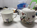 金岚玉 现代中式珐琅彩虞美人骨瓷茶壶大号小号单壶沏花茶壶带过滤小孔 虞美人草-长富宫壶-小号 实拍图