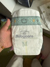 babycare皇室狮子王国弱酸纸尿裤中号M50片(6-11kg)婴儿尿不湿亲肤透气 实拍图