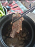 鲜京采澳洲精选原切羊肋排（偏瘦） 2斤/袋 草饲羊肉 京东自有品牌 实拍图