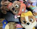 汪汪队立大功（PAW PATROL）汪汪队玩具毛绒全套狗狗玩偶公仔男女孩玩具旺旺队儿童生日礼物 经典款-毛毛公仔【需选尺寸】 中号-坐或站高约17~22.9CM 实拍图