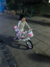 紫榕 儿童自行车女孩单车3-8岁公主款脚踏车男女宝宝小孩童车 公主粉【送货上门】可折叠自行车 14寸 适合90-110cm 实拍图