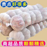 大蒜头出口品质网兜紫蒜蔬菜调料新鲜大果烧烤火锅食材 【精品网兜装】3斤装 1350g 实拍图