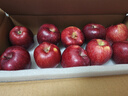 京鲜生 甘肃天水花牛苹果 又大又红 净重4斤 单果160g起  新鲜水果  实拍图