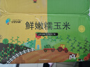 守望乡村（KEEP W-VILLAGE GO）2024年东北甜糯香新玉米 高温灭菌真空包装营养早餐苞米粗粮玉米 【4黑4黄】8支共 1600g 以上 实拍图