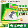 金大侠粘鼠板老鼠贴超强力家用老鼠一窝端捕鼠神器加大加厚灭鼠粘板10片 实拍图