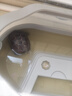 德瑞水族德瑞中华草龟水龟粮食物巴西龟小乌龟甲鱼墨龟饲料火焰金线龟 草龟乌龟大粒1200g 晒单实拍图