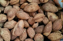 三只松鼠手剥巴旦木500g/袋装 坚果炒货干果扁核桃杏仁零食送礼  实拍图