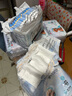 HONEYCARE好命家 狗狗纸尿裤公狗尿不湿安全裤 M适用体重6-10kg/12片3包装  实拍图