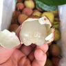 荔枝新鲜包邮桂味5斤水果广东当季荔枝白整箱西糖罂10斤顺丰 5斤 【商超装】顺丰 单果约20g+ 实拍图