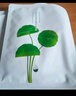 花印面膜补水保湿清爽夏季护肤品男女士礼物 积雪草舒缓呵护面膜1片 实拍图