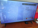 飞利浦（PHILIPS）55英寸4K超高清智慧全面屏 高频调光护眼 远场AI语音智能液晶平板电视机55PUF7590/T3 55英寸 7590 实拍图